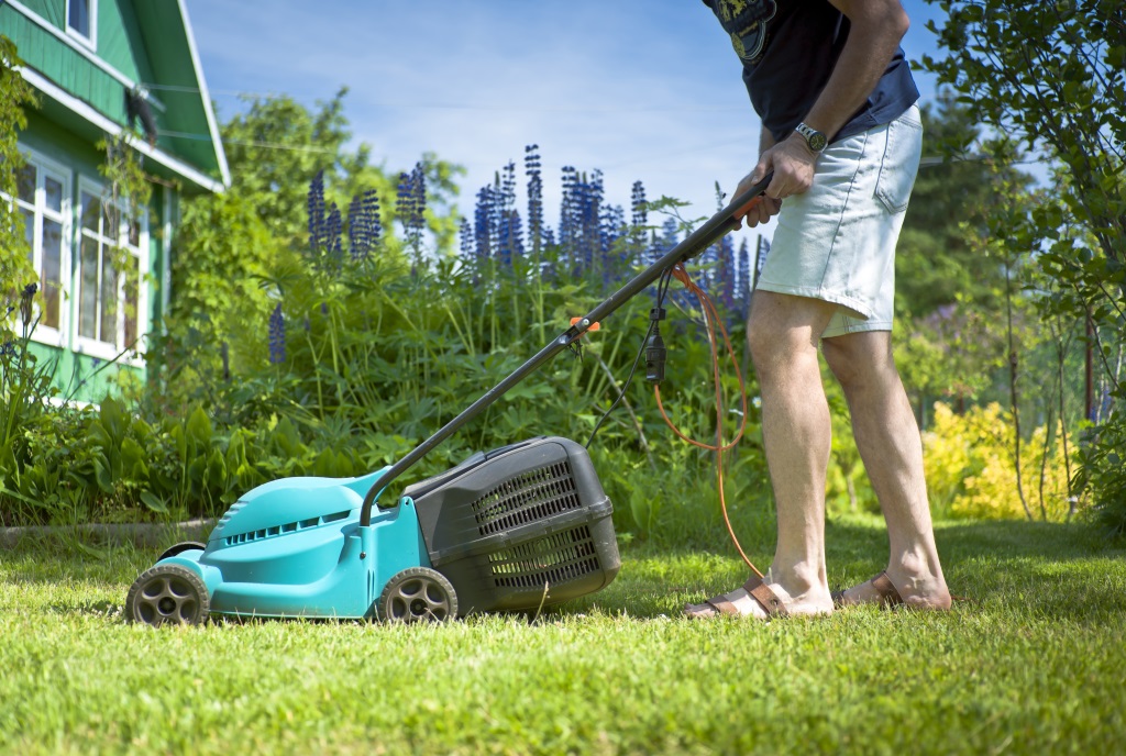 Tipps für die Gartenarbeit im Juni.