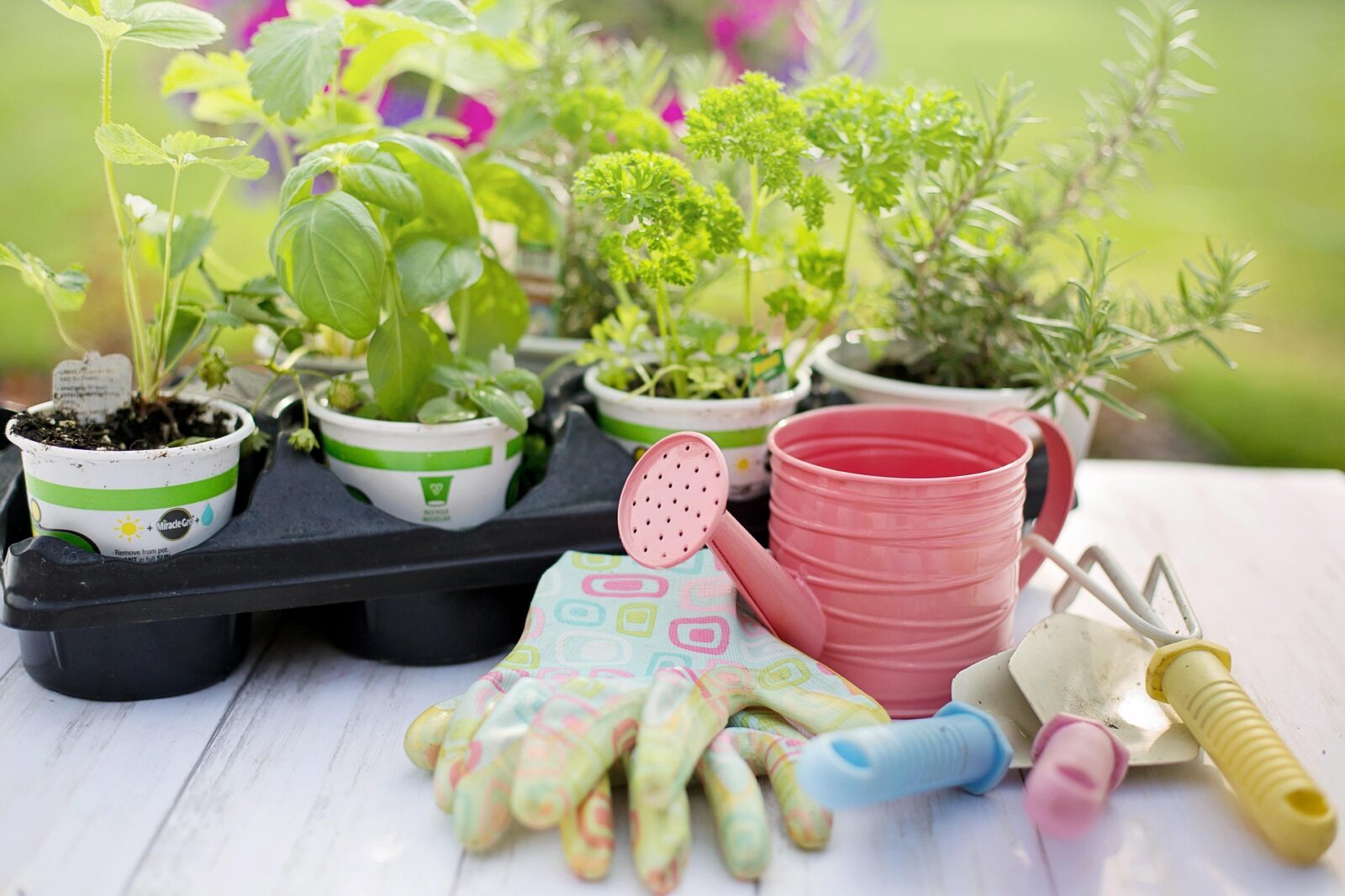 Gartenarbeitutensilien und Kräutertöpfe